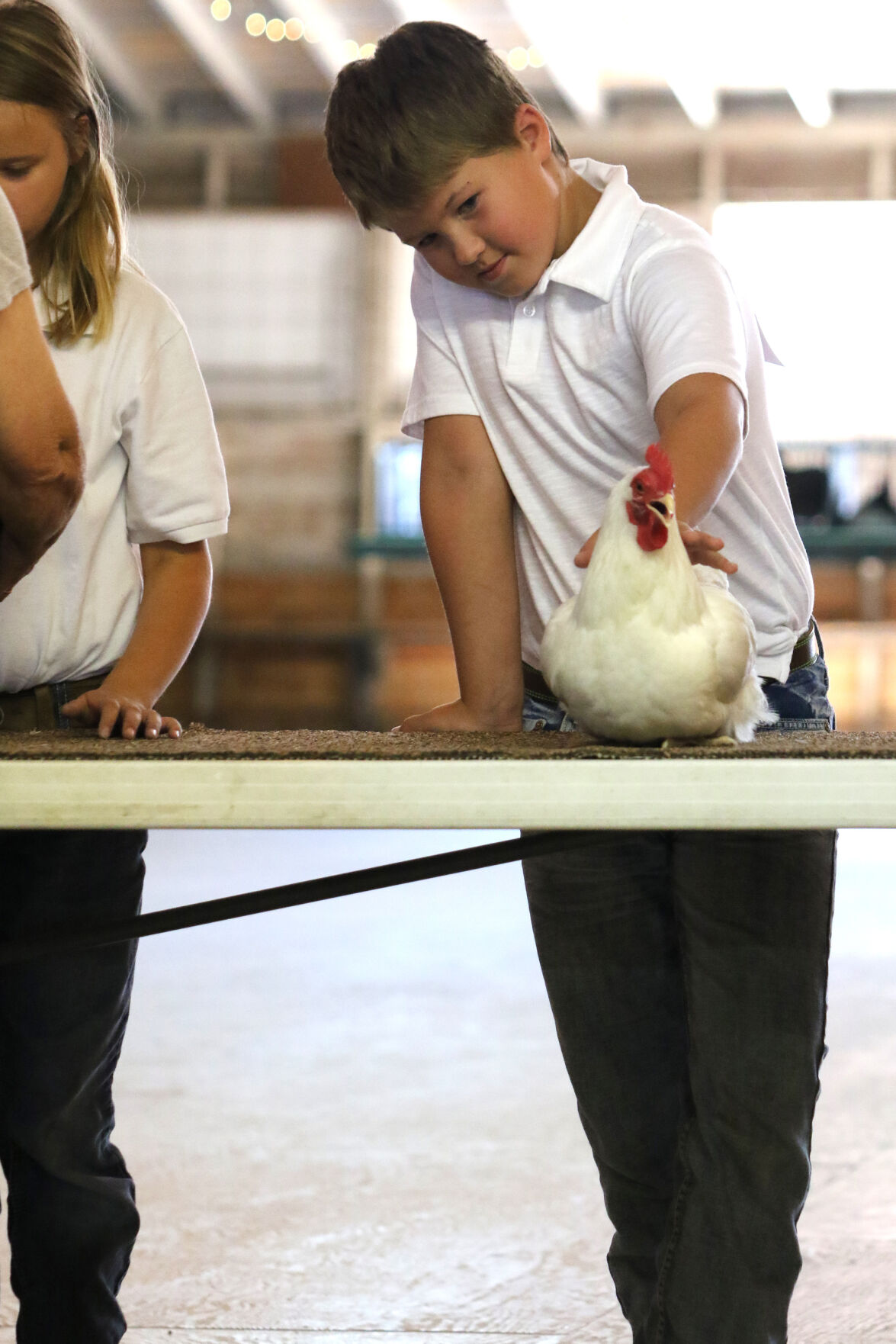 PHOTOS: Poultry Show at Scotts Bluff County Fair 2020